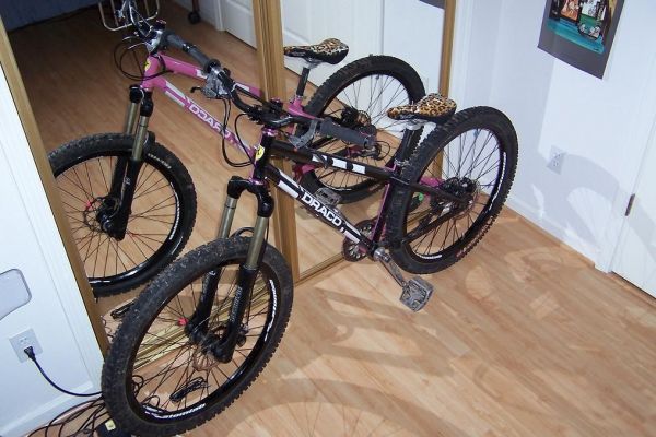Click to view full size image
 ============== 
Grande's Draco
